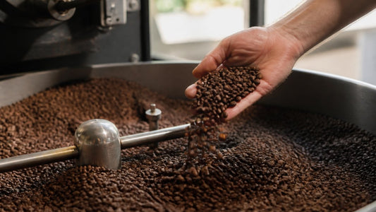 How Long to Wait Before Drinking Freshly Roasted Coffee